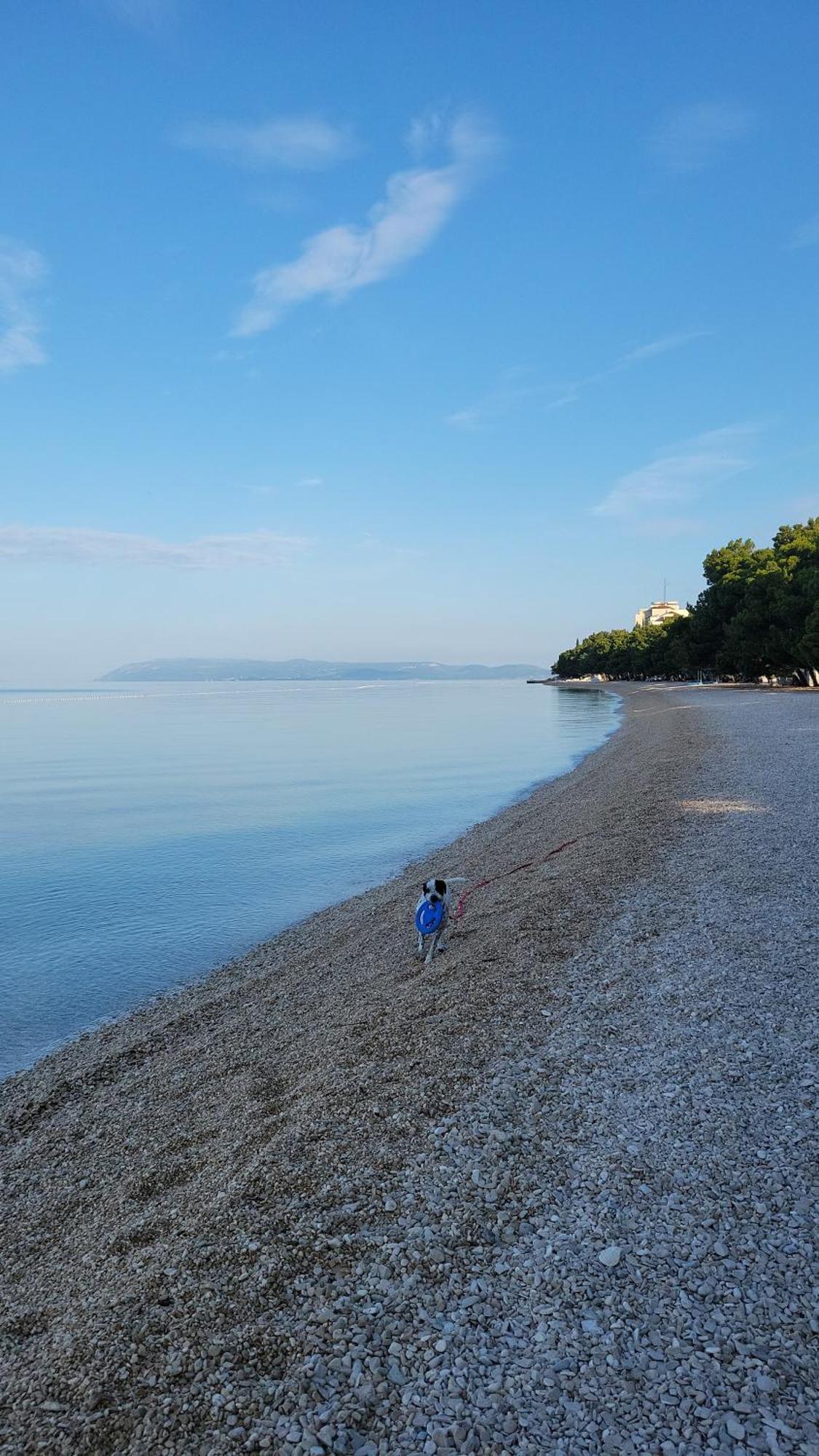 Apartman Vulic Apartman Tučepi Szoba fotó